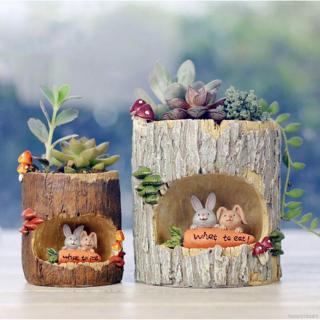 Chậu cây bonsai hai cỡ lớn nhỏ thiết kế đẹp mắt tiện dụng