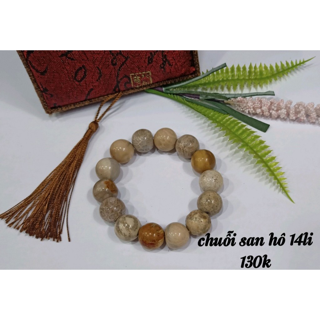 Chuỗi San Hô