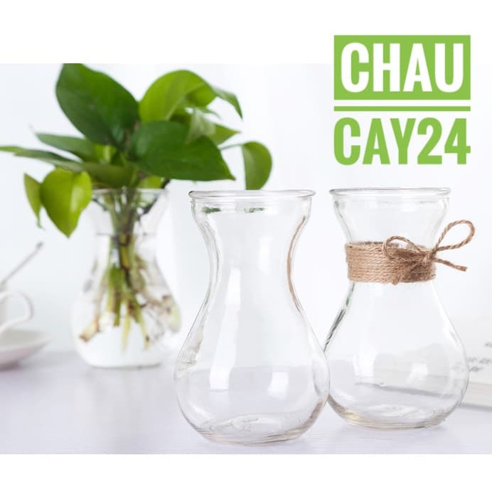 Bình hoa thủy tinh trồng cây cảnh thủy canh, cây cảnh để bàn, cây cảnh mini