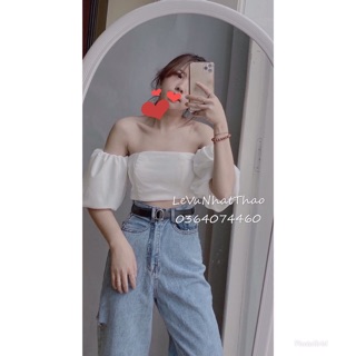 ♥️Croptop Body Cổ Bẻ Trơn