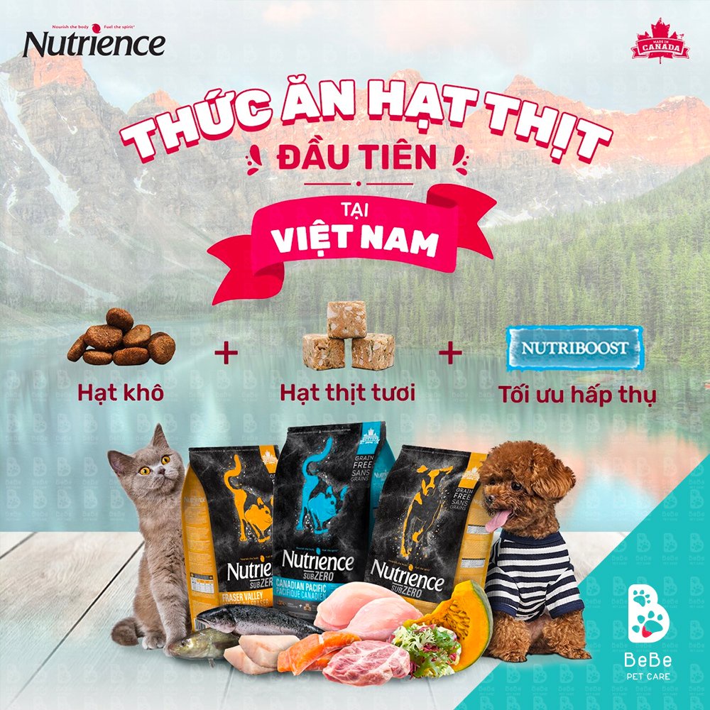 [500Gr] Hạt NUTRIENCE SubZero Canadian Pacific Cho Mèo (Cá Biển Cao Cấp &amp; Rau Củ Tự Nhiên)