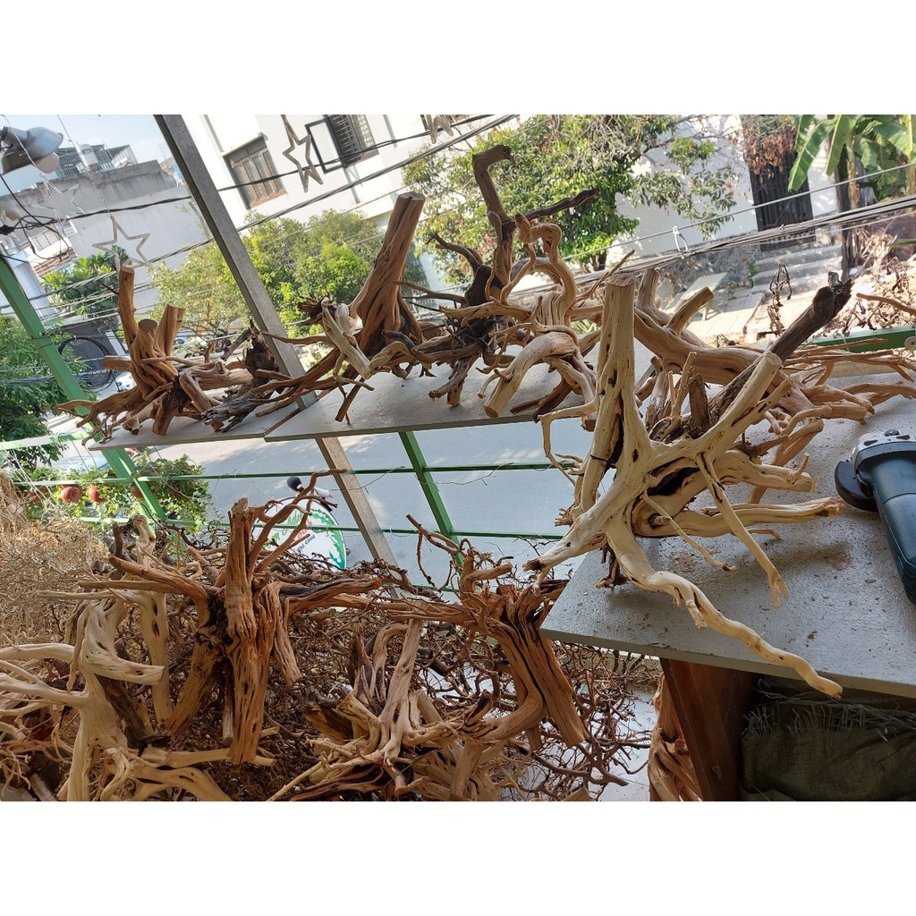 Lũa xương trùm, tán quýt dùng để tạo lũa dáng bonsai cho Bể Thuỷ Sinh, Bể Cá - 100g