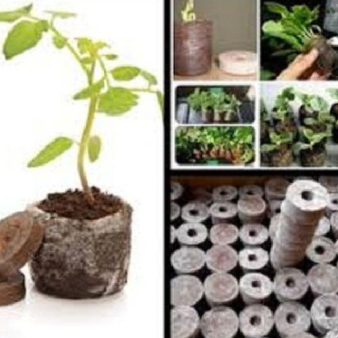 COMBO 50 viên nén ươm hạt - viên nén xơ dừa kích mầm