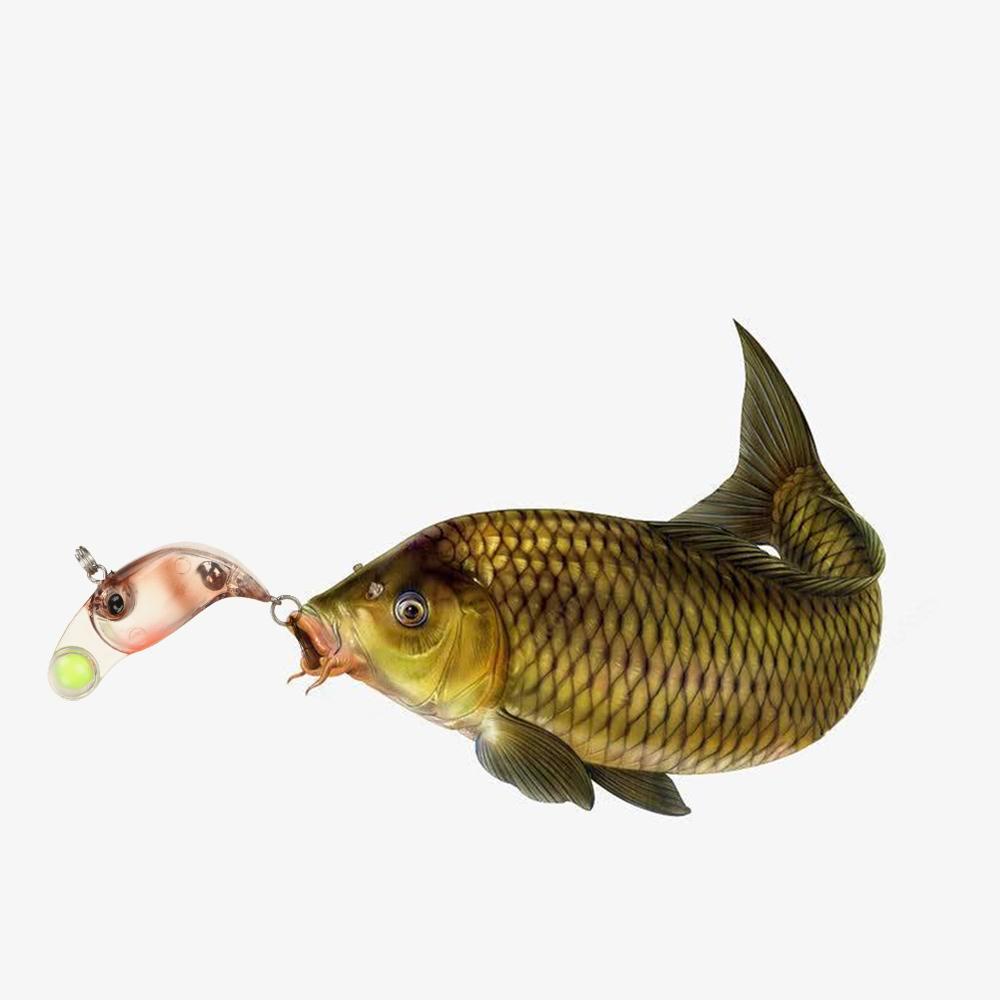 MYRONGVN Mồi Câu Cá Giả Thiết Kế Sống Động Tiện Dụng