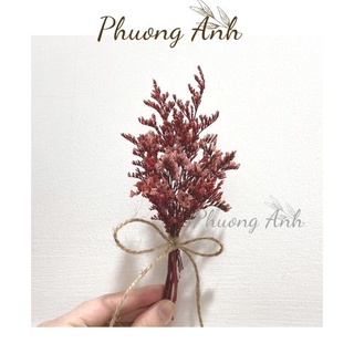 Bó hoa khô mini