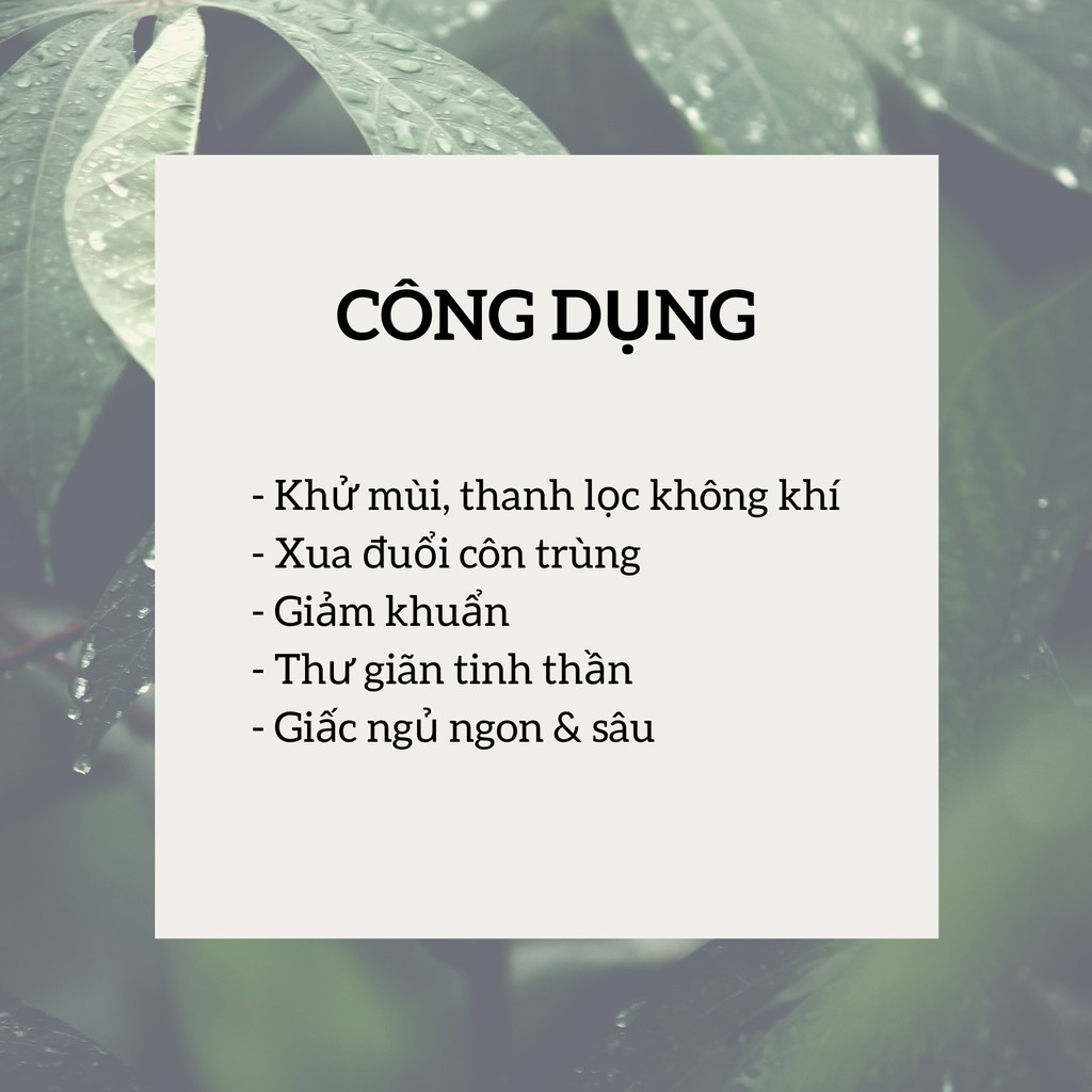 Tinh Dầu Thơm Phòng Ngủ, Tinh Dầu Thiên Nhiên Nguyên Chất Kháng Khuẩn, Đuổi Muỗi, Khử Mùi KAROMA 50ml - 100ml (Chai)