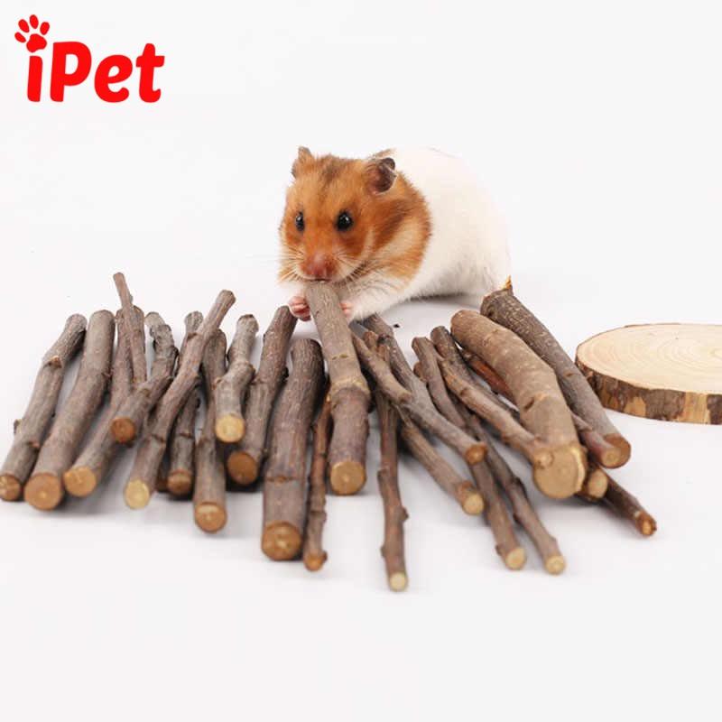 Cành Táo Mài Răng Cho Hamster, Thỏ, Chuột Lang Khoảng 50gr - iPet