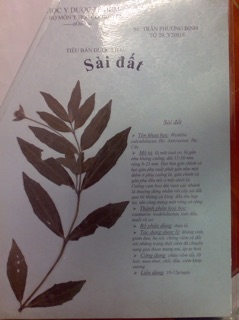 Sài đất (loại lá bé) 1kg