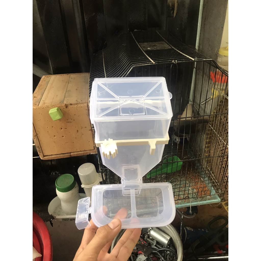 Máng ăn tự động cho chim , gà, bồ câu, vẹt, cu gáy, yến phụng