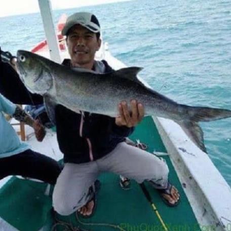 Dây cáp câu cá Fishing Sport dài 10m, cáp câu cá chẽm, cá chim, cá tra, dây cáp câu sông, câu biển siêu bền.