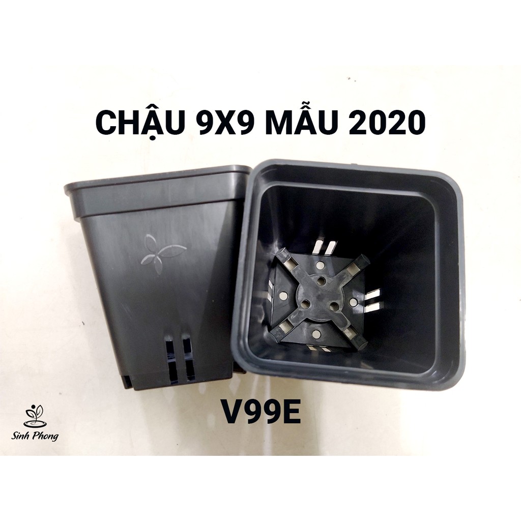 Chậu vuông 9x9 đen