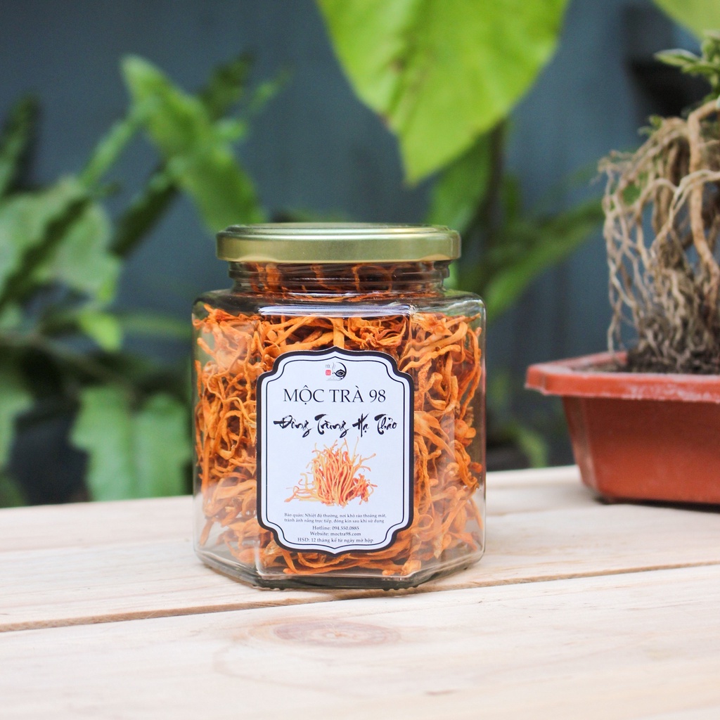Đông trùng hạ thảo sấy nhiệt Hũ 350ml thượng hạng chính hãng MỘC TRÀ 98