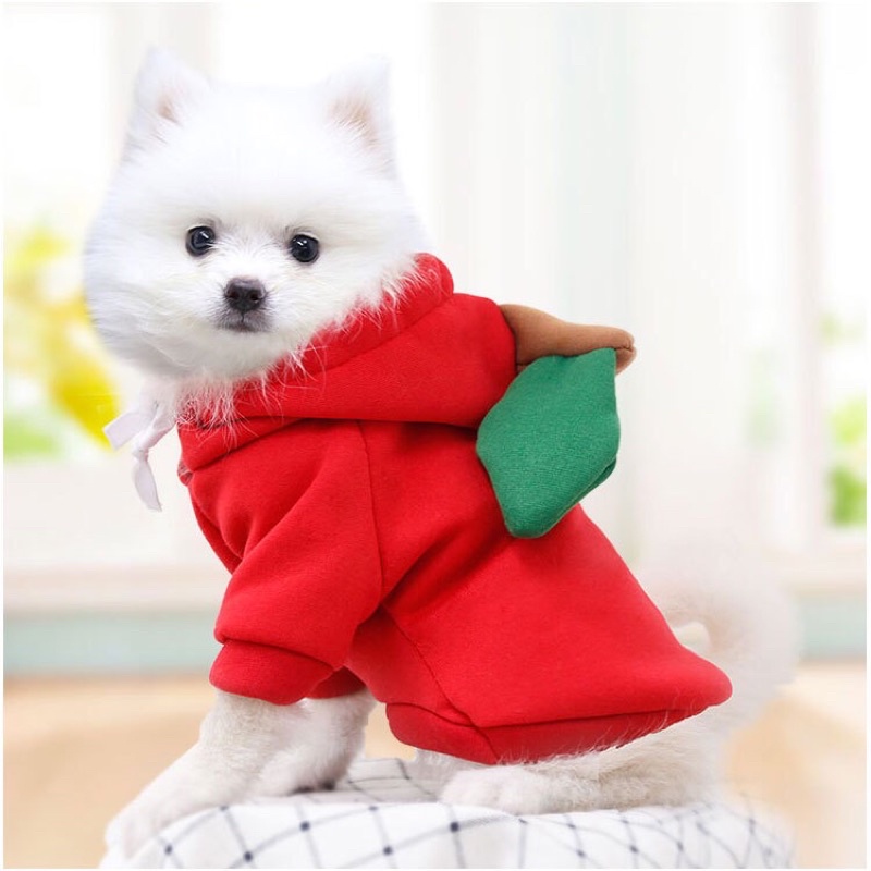 ÁO NỈ MỎNG TRÁI CÂY  QUẢ TÁO  DỄ THƯƠNG NGỘ NGHĨNH CHO THÚ CƯNG