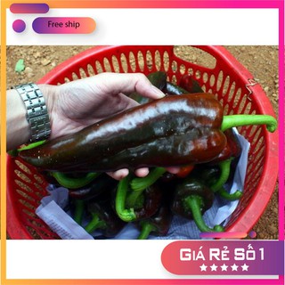 Hạt giống ớt sừng ngọt - 30 hạt LUCKY.VN