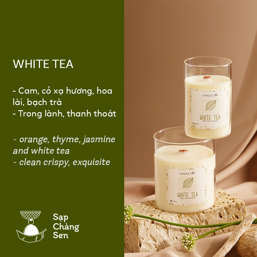 Nến thơm Candle Cup Agaya Size M - Sáp cọ và tinh dầu thiên nhiên