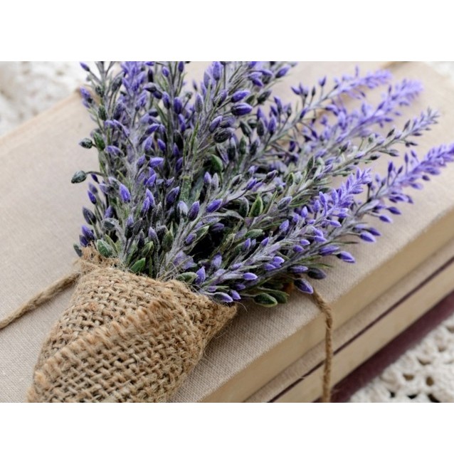 Tinh dầu oải hương (lavender) Pháp 100ml Mộc Mây
