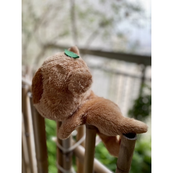 Gấu bông chồn đội lá lông xù 20-25cm