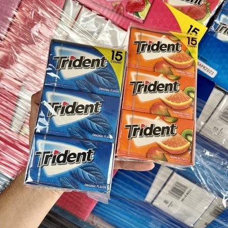 Kẹo singum Trident hộp 15 phong (USA)