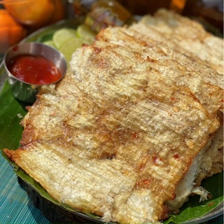Lon 250gr Cá Thiều Miếng