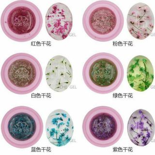 Gel hoa khô ẩn phụ kiện độc đáo đẹp lạ giúp trang trí móng xinh tuyệt vời. 6 màu cơ bản cute giúp thợ