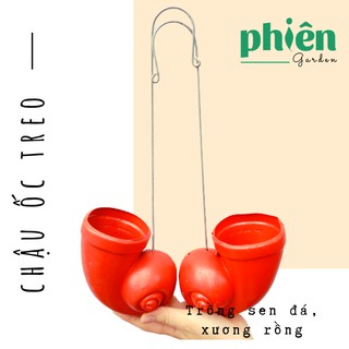 Chậu ốc treo trồng cây, chậu treo hình vỏ ốc xinh xắn