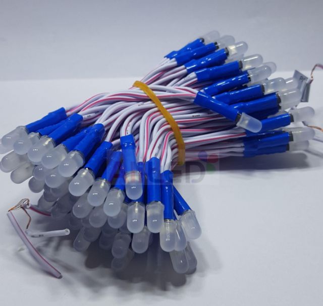 Led ruồi 12V chính hãng IPY dây đồng (100b/ bó) | BigBuy360 - bigbuy360.vn