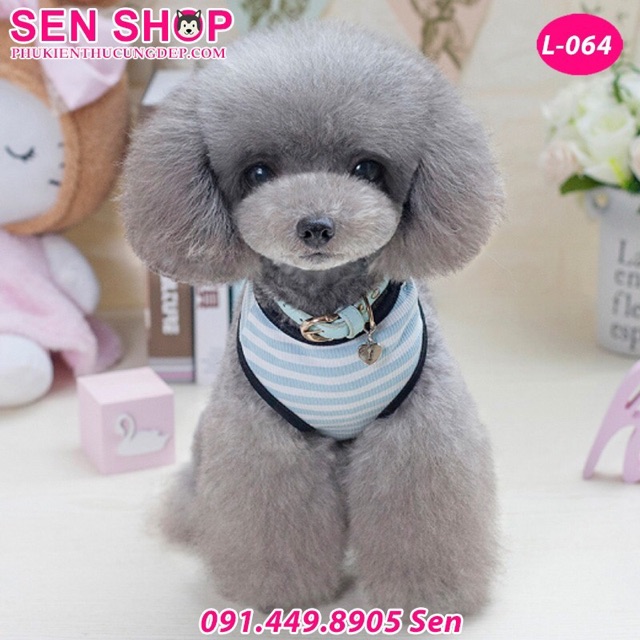 Áo cho chó poodle