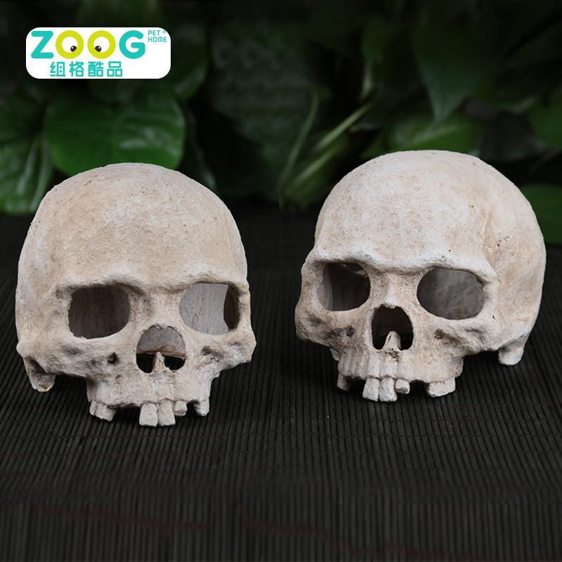 Nhà đầu lâu nửa đầu dành cho bò sát/hamster/đuôi mập halloween