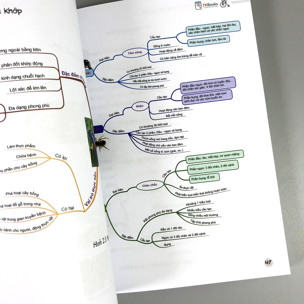 Sách - All In One - Trung Học Cơ Sở - Toán, Anh, Hóa, Sinh (combo, lẻ tùy chọn) | BigBuy360 - bigbuy360.vn