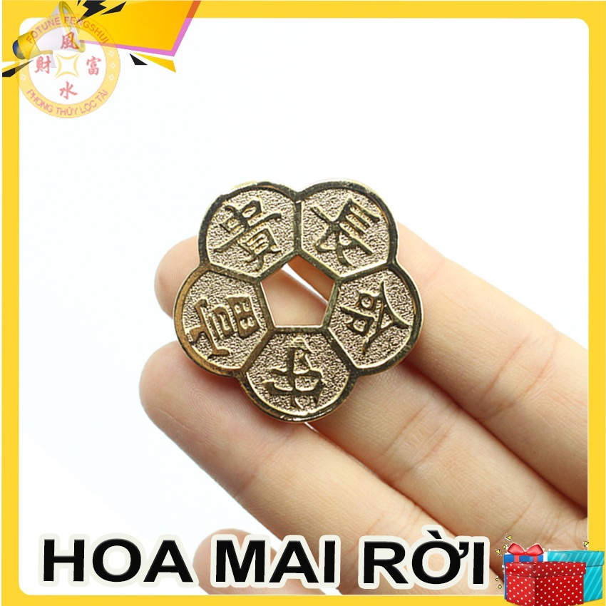 ĐỒng Hoa mai rời chiêu tài lộc