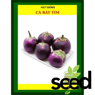 1G - Hạt Giống Cà Bát Tím