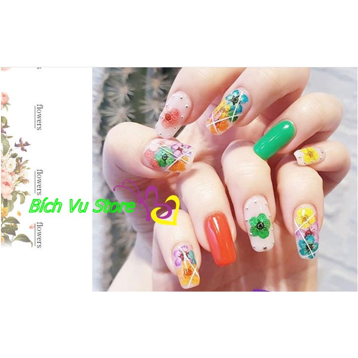 combo dụng cụ nail 2kg