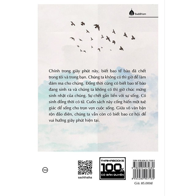 Sách - Một triệu khoảnh khắc hiện tại - Hành trình hướng tới chánh niệm của một người hoài nghi - Thái Hà Books