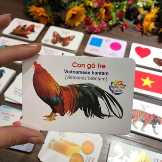 Bộ Thẻ Học Thông Minh Dành Cho Bé