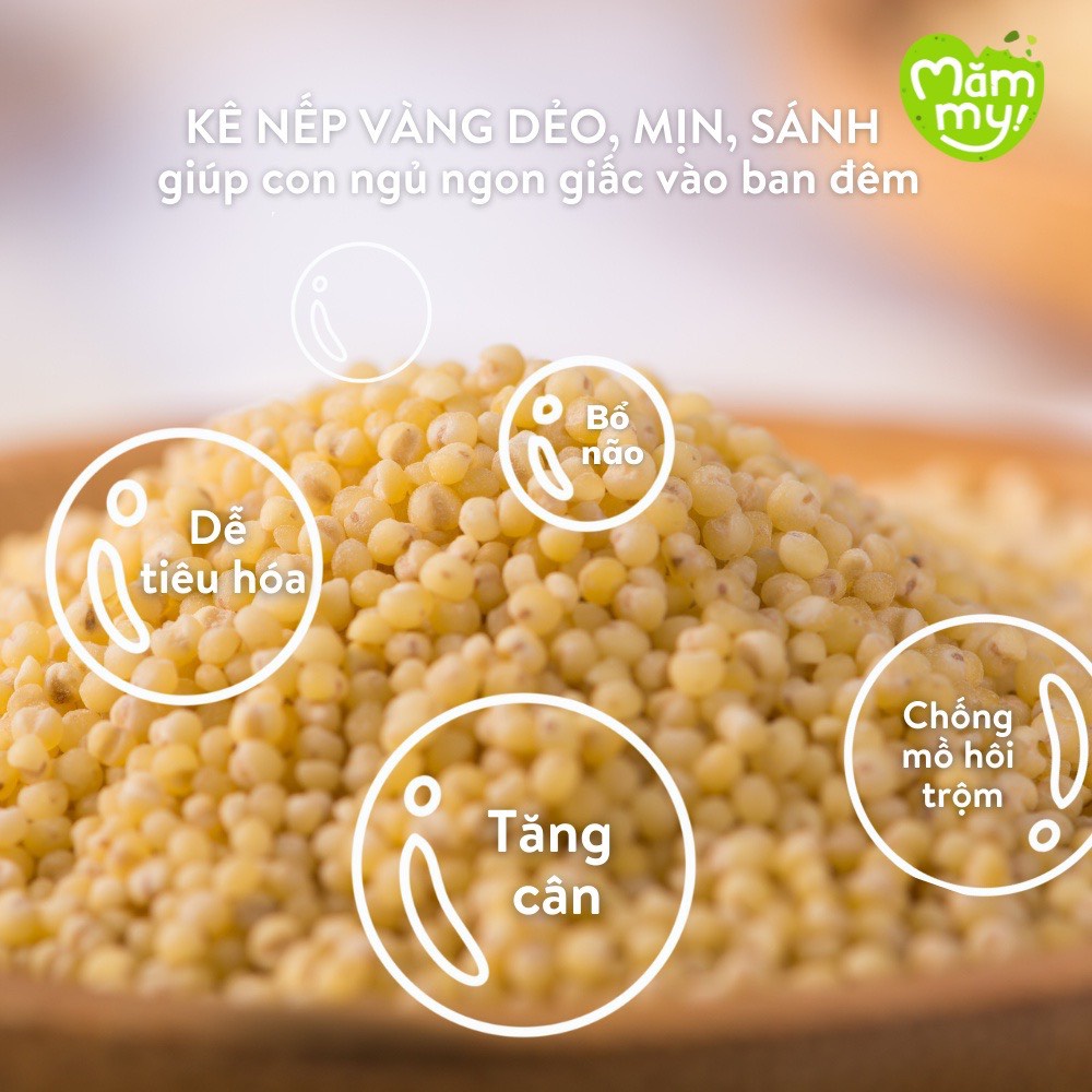 Combo 9 Hạt hữu cơ Mămmy cho bé từ 6 tháng ,Hạt Cho Bé Ăn Dặm, Đậu hạt hữu cơ nấu cháo làm sữa hạt cho bé