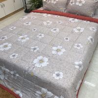Bộ chăn ga gối cotton đũi