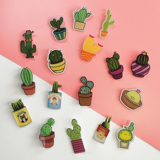 Huy hiệu xương rồng cute