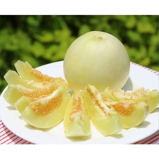 Hạt giống Dưa Lê TN - 75
