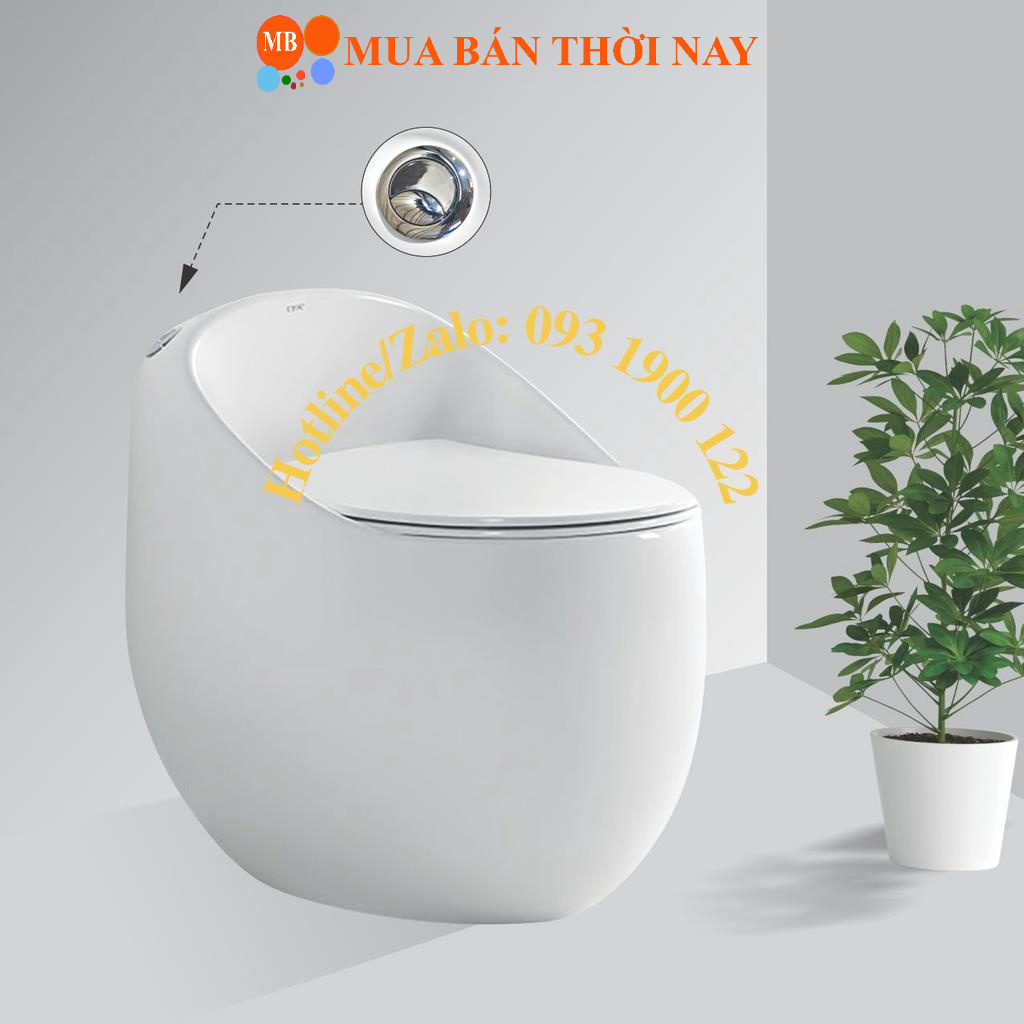 Bồn Cầu Trứng EVE-B09 EVEREST