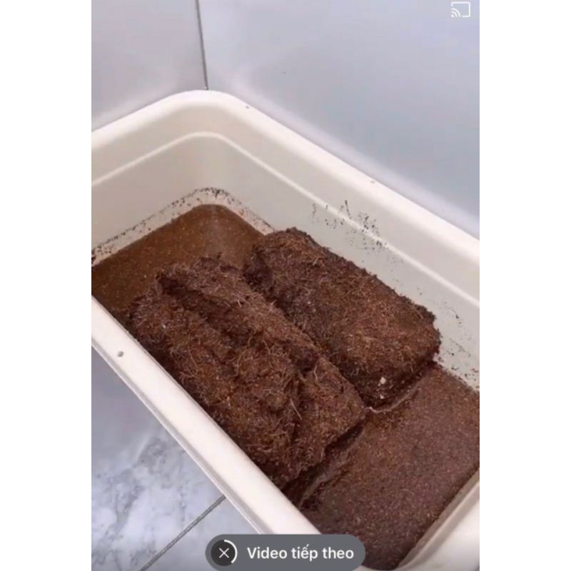 Đất Sạch nén Hữu Cơ nhiều dinh dưỡng..