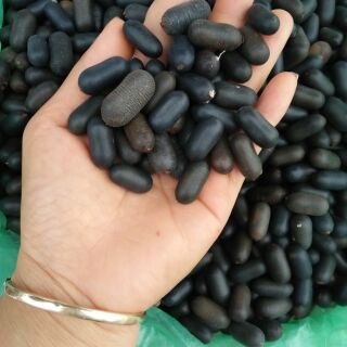 Hạt  đỗ rừng 300/1kg