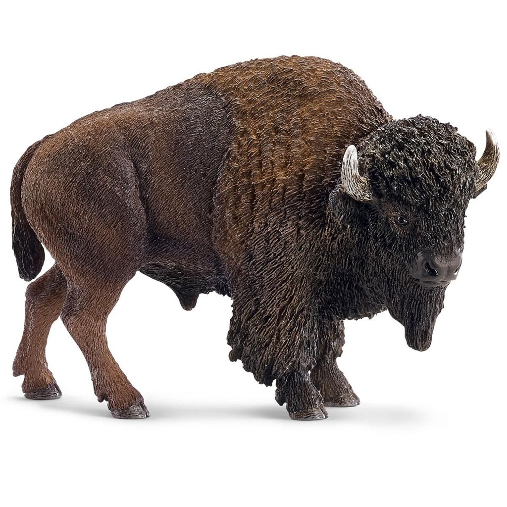 Mô hình Bò rừng Bison SCHLEICH 14714