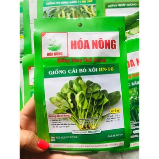 Hạt giống Cải bó xôi giàu dinh dưỡng dễ trồng ít sâu bệnh