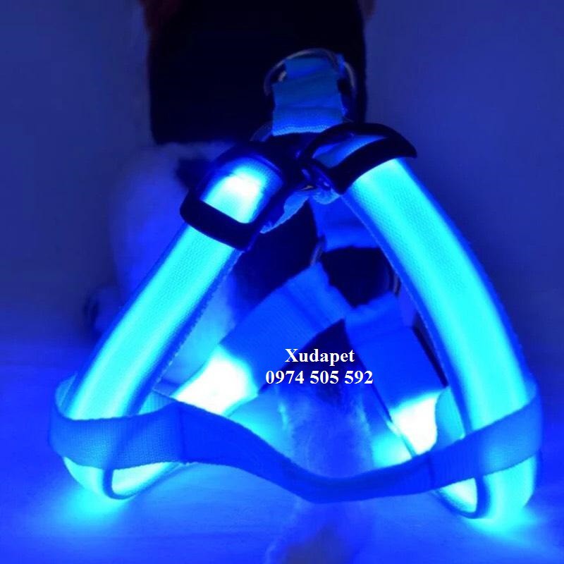 Dây dắt chó mèo có công tắc đèn phát sáng 3 chế độ cực độc - Xudapet