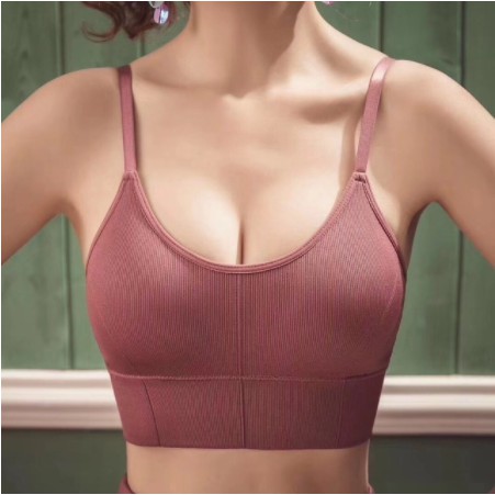 [FREESHIP50K ÁO BRA Tập GÂN ĐỆM BÀN TAY NÂNG NGỰC ms818