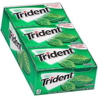Lốc 12 Vỉ Kẹo Singum Trident Mỹ