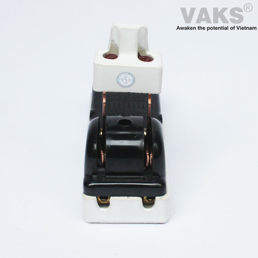 Cầu dao điện cao cấp Tiến Thành 2P, 60A, 600V, Sản Phẩm chính hãng hàng Việt Nam chất lượng cao.