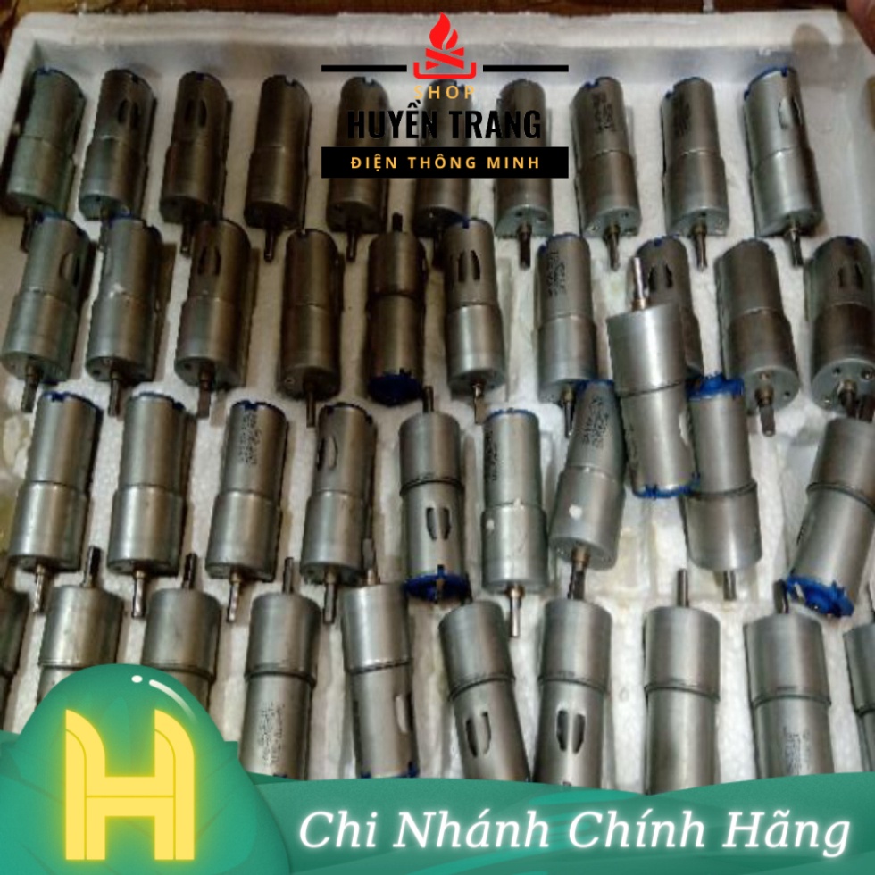 Động Cơ Giảm Tốc 12V 20RPM LS220Mô Tơ Giảm Tốc Mini 3-12V 20 Vòng Phút