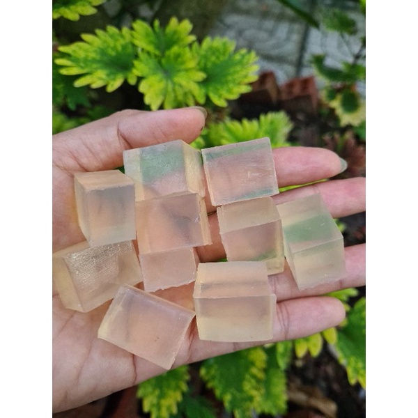 Phôi xà phòng trong suốt Escoco