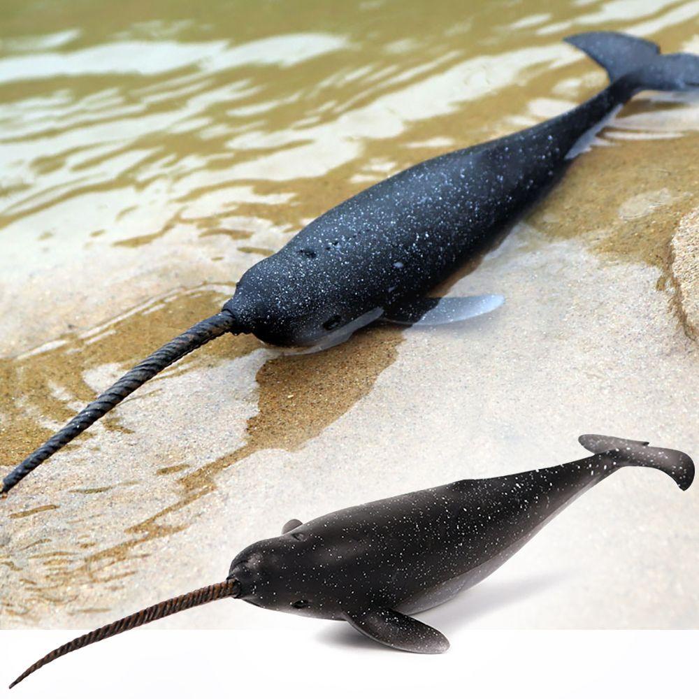 Mô Hình Narwhal Đồ Chơi Giáo Dục Khoa Học Tự Nhiên